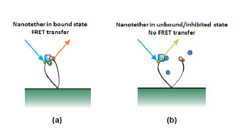 fig3